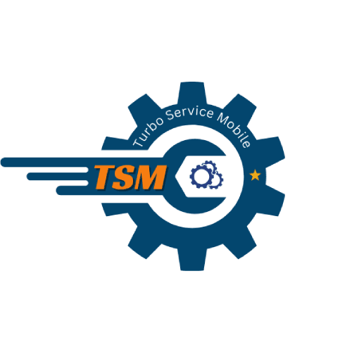 TSM Tool Access Rent For 4 Hours